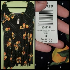 Plus size skater dress